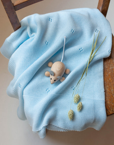 Baby blue Shawl - orkids boutique