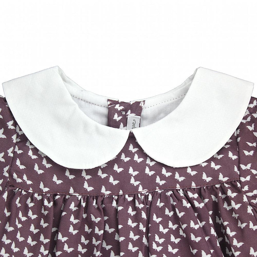 Butterfly print dress - orkids boutique